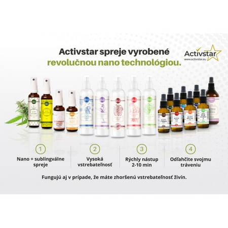 Flyer spray SK 100 db